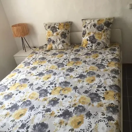 Insolite Au Coeur D'une Ecurie Arles