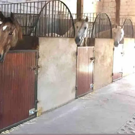 Apartment Insolite Au Coeur D'une Ecurie Arles