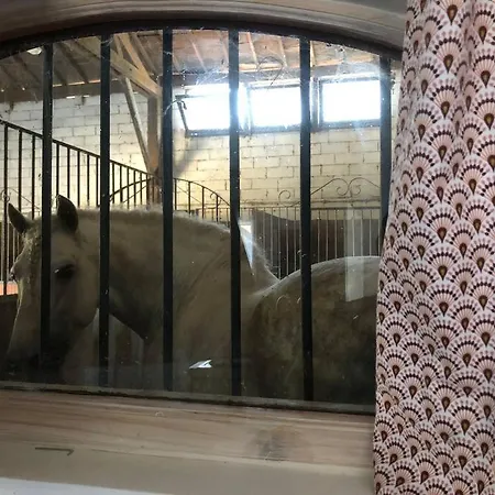 Insolite Au Coeur D'une Ecurie