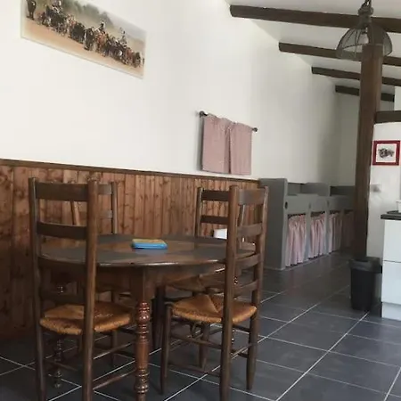 Insolite Au Coeur D'une Ecurie * Arles
